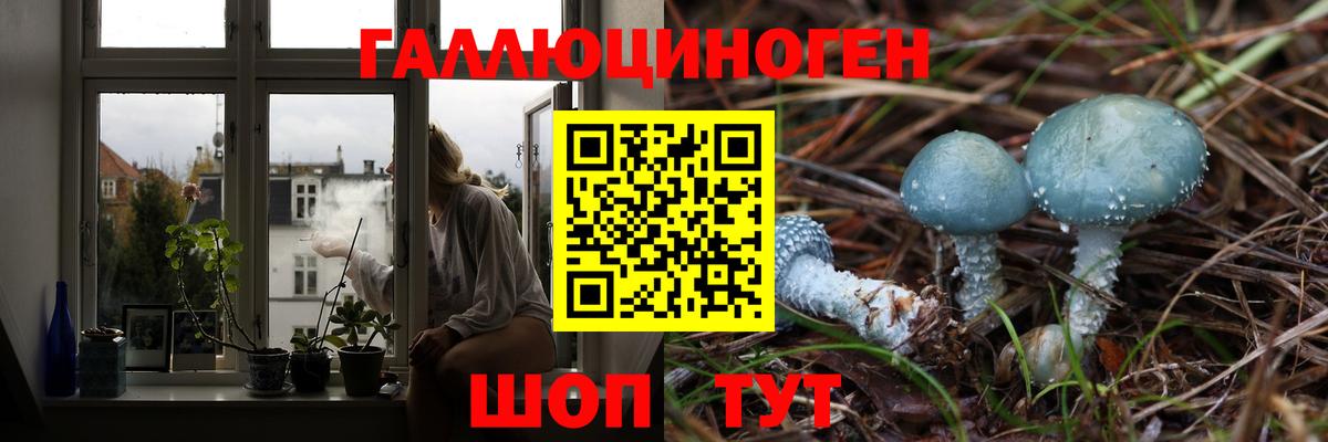 Псилоцибиновые грибы ЛСД  наркошоп  Муром  Вход с VPN 